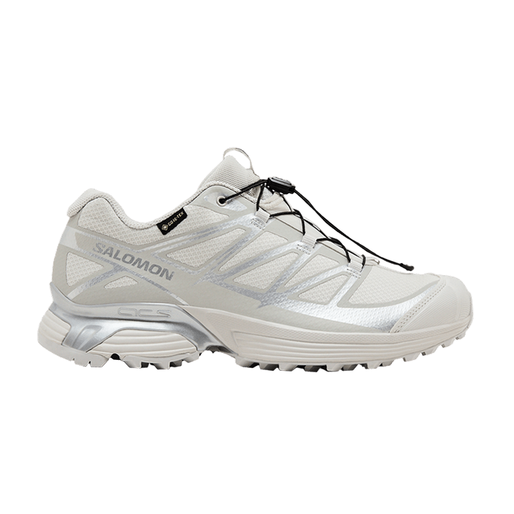 Salomon XT-Pathway GORE-TEX 'Lunar Rock' — Lunar Rock/Alloy/Footwear Silver