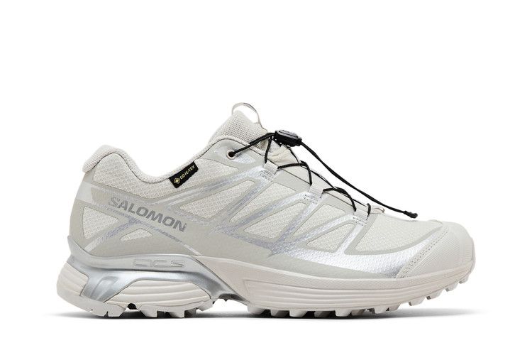 Salomon XT-Pathway GORE-TEX 'Lunar Rock' — Lunar Rock/Alloy/Footwear Silver