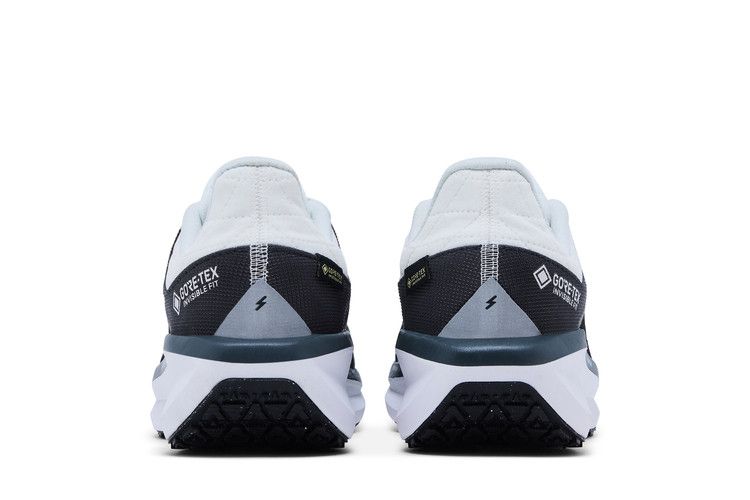 Nike Air Winflo 11 GORE-TEX 'Anthracite' — Anthracite/Black/Photon Dust/Metallic Silver