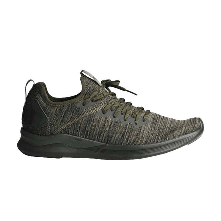 Puma Ignite Flash evoKnit 'Forest Night' — Forest Night/Grey/Black