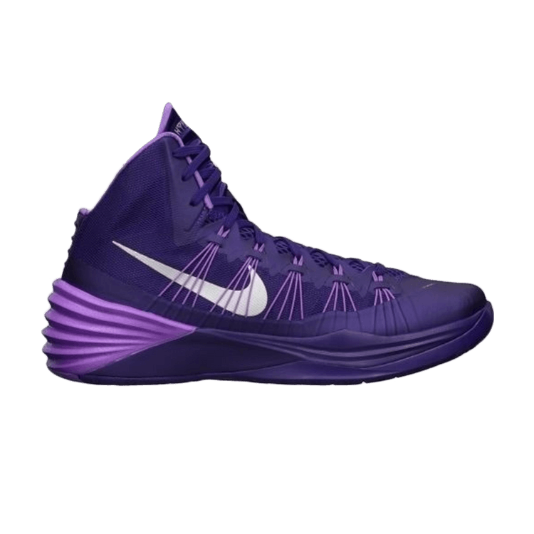 Nike Zoom Hyperdunk 2013 TB 'Dark Purple' — Dark Purple/Silver