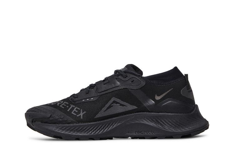Nike Pegasus Trail 3 GTX 'Triple Black' — Black/Black/Black