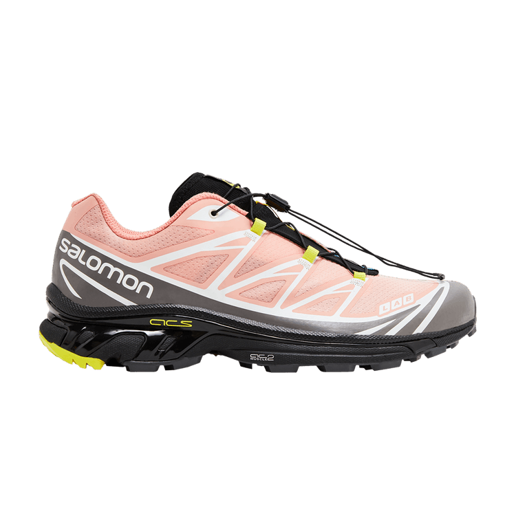 Salomon XT-6 'Blooming Dahlia Monument' — Blooming Dahlia/Monument/Black