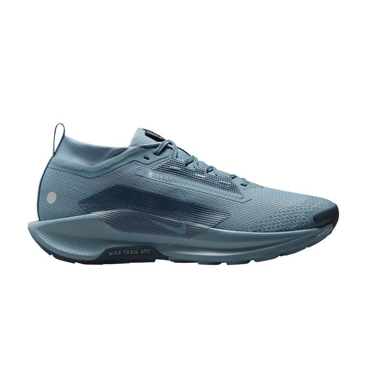 Nike Pegasus Trail 5 GORE-TEX 'Smokey Blue' — Smokey Blue/Light Silver/Armory Navy/Smokey Blue