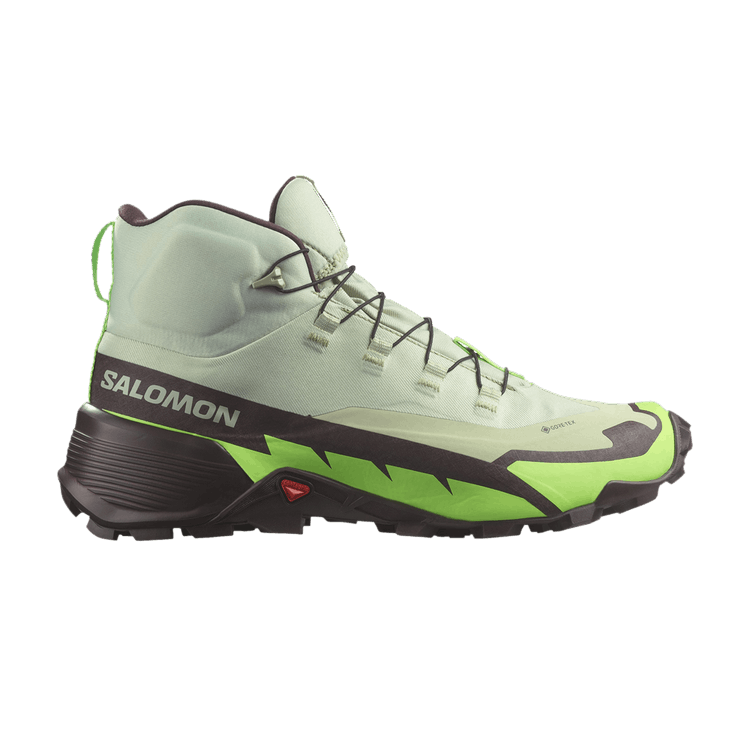 Salomon Cross Hike 2 Mid GORE-TEX 'Desert Sage Green Gecko' — Desert Sage/Green Gecko/Chocolate Plum