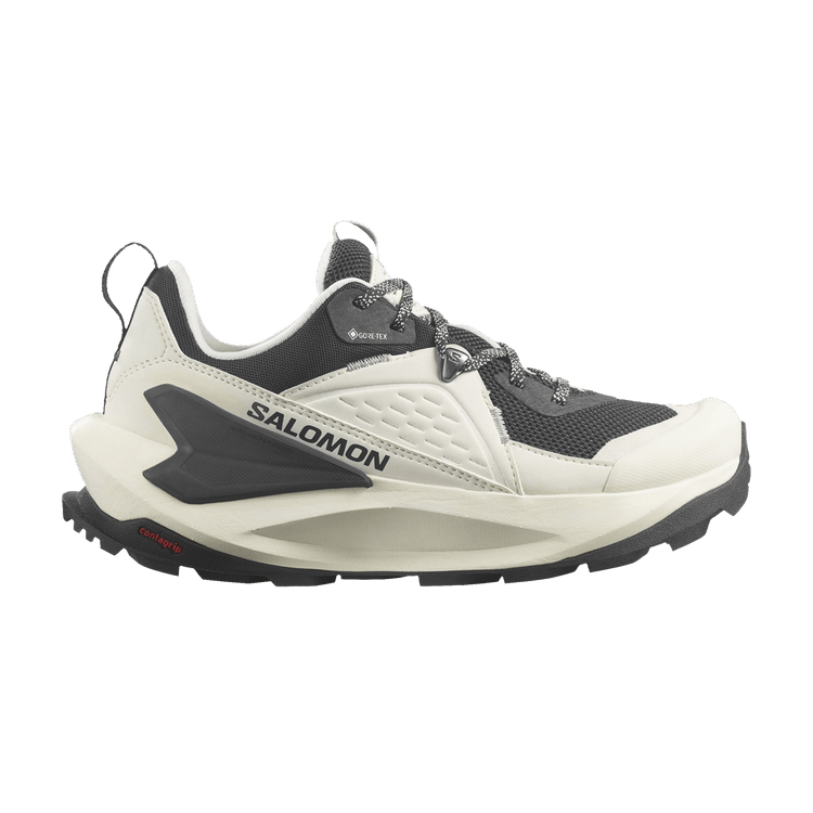 Salomon Wmns Elixir GORE-TEX 'Vanilla Ice Metal' — Vanilla Ice/Phantom/Metal