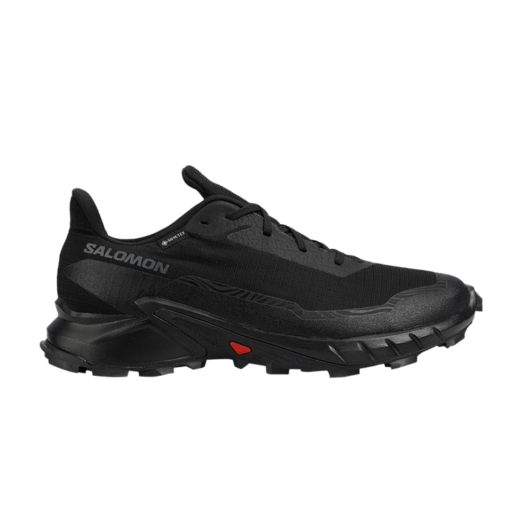 Salomon Alphacross 5 GORE-TEX 'Black Ebony' — Black/Black/Ebony