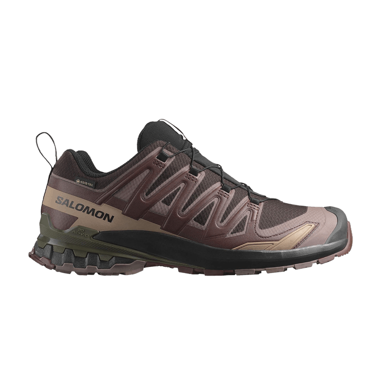 Salomon XA Pro 3D V9 GORE-TEX 'Rum Raisin' — Black Coffee/Rum Raisin/Olive Night