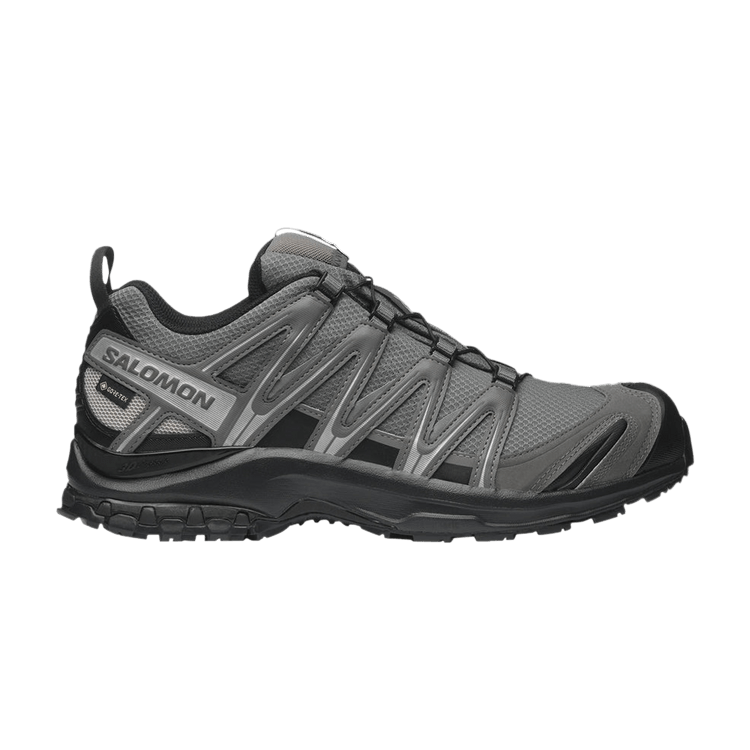 Salomon XA Pro 3D GORE-TEX 'Pewter Silver Cloud' — Pewter/Black/Silver Cloud