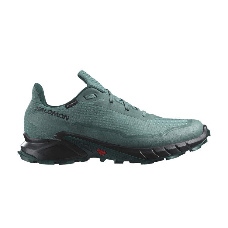 Salomon Alphacross 5 GORE-TEX 'Sea Moss Black' — Sea Moss/Black