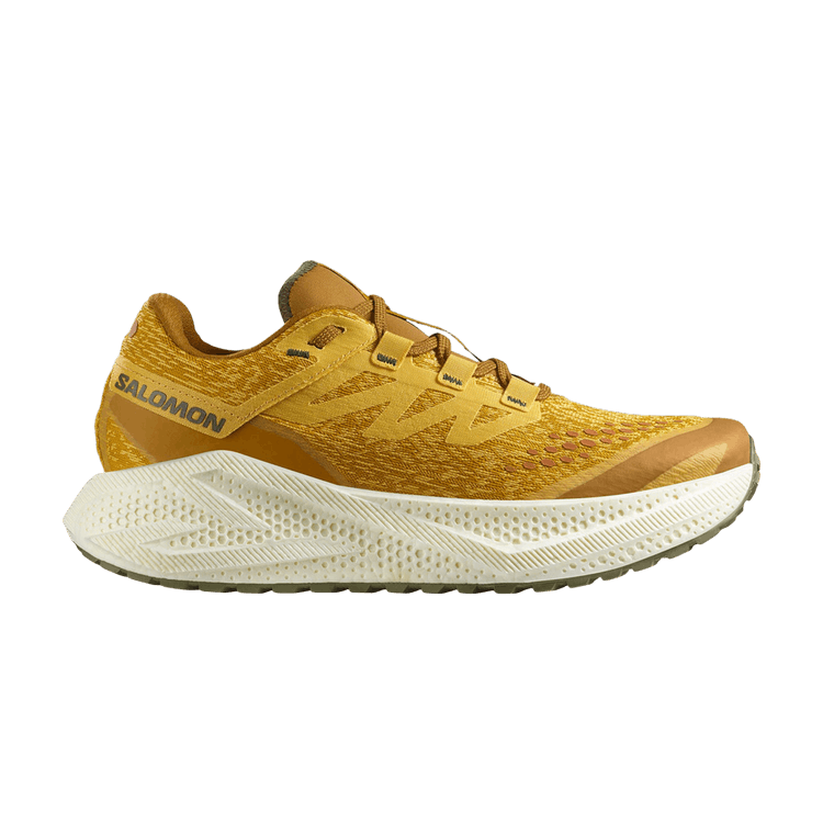 Salomon Aero Glide 3 GRVL 'Spicy Mustard' — Spicy Mustard/Vanilla Ice/Deep Lichen Green