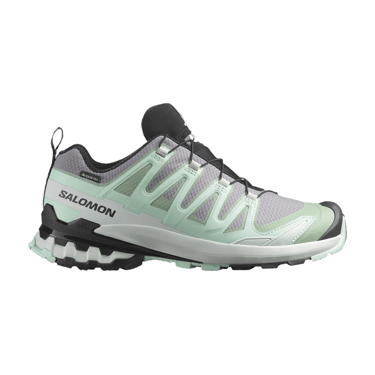 Salomon Wmns XA Pro 3D V9 GORE-TEX 'Quiet Shade' — Quiet Shade/Lily Pad/Blue Haze