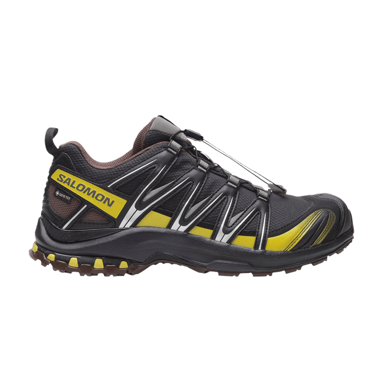 Salomon XA Pro 3D GORE-TEX 'Cress Green French Roast' — Black/Cress Green/French Roast