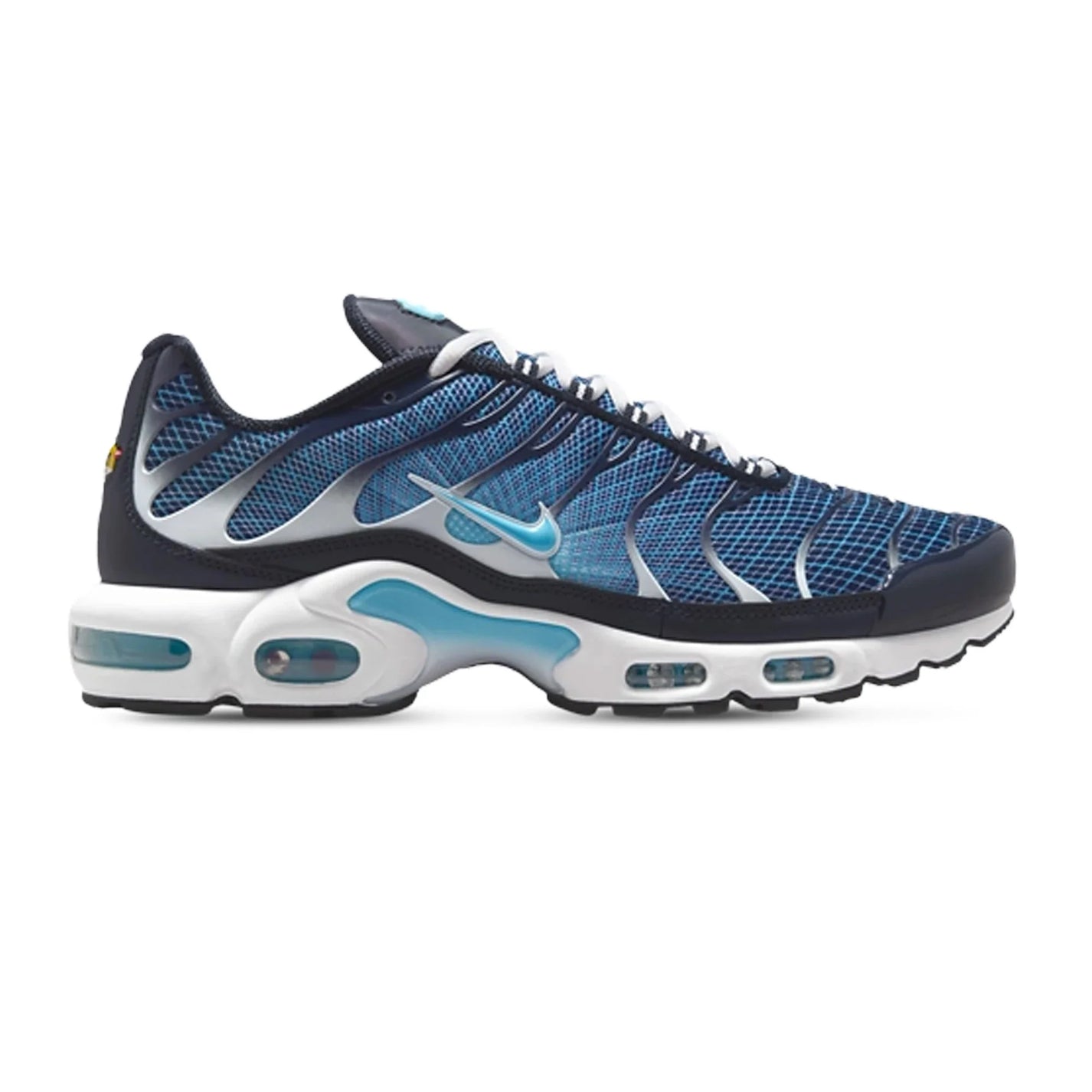 Nike Air Max Plus TN 'Dark Obsidian'
