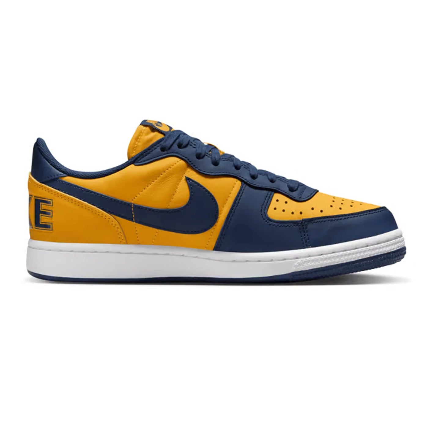 Nike Terminator Low 'Michigan' (2023)