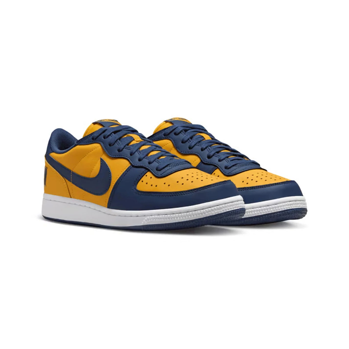 Nike Terminator Low 'Michigan' (2023)
